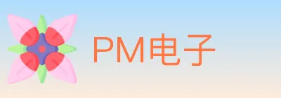 PM电子 logo